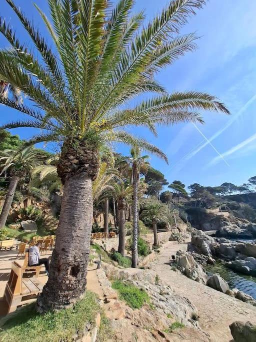 Appartement Loft, Lloret de Mar