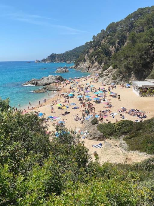 Loft, Appartement Lloret de Mar